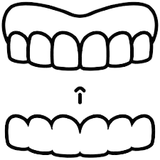 Home aligners icon removebg preview